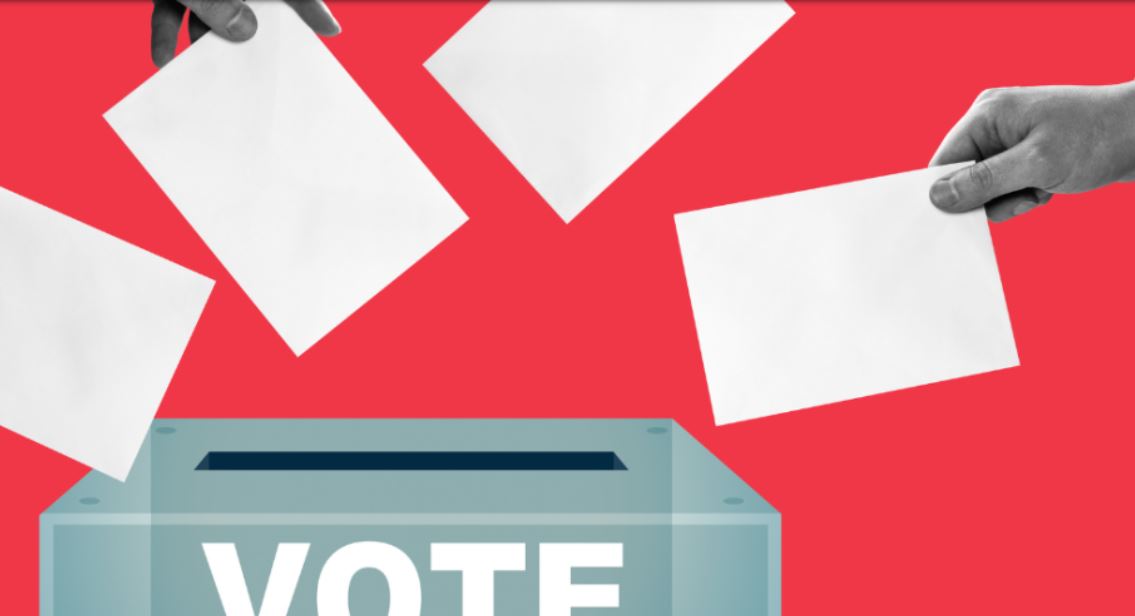 Peaceful Polls in Nkulumane By-Election Record 21% Voter Turnout